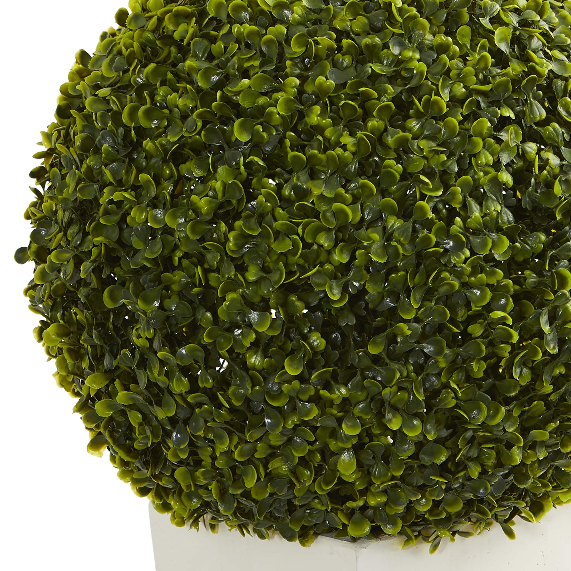 2.5ft. Boxwood Ball Topiary in White Tower Planter
